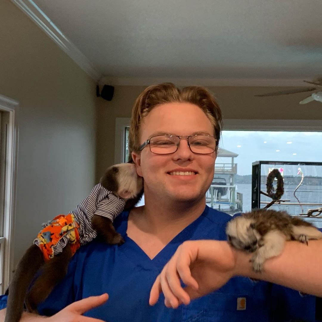 Mono capuchino de 3 meses