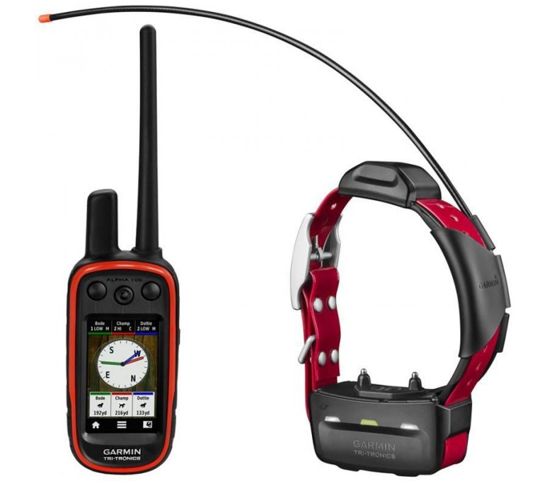 ALPHA 100 + COLLAR TT15 MINI-garmin