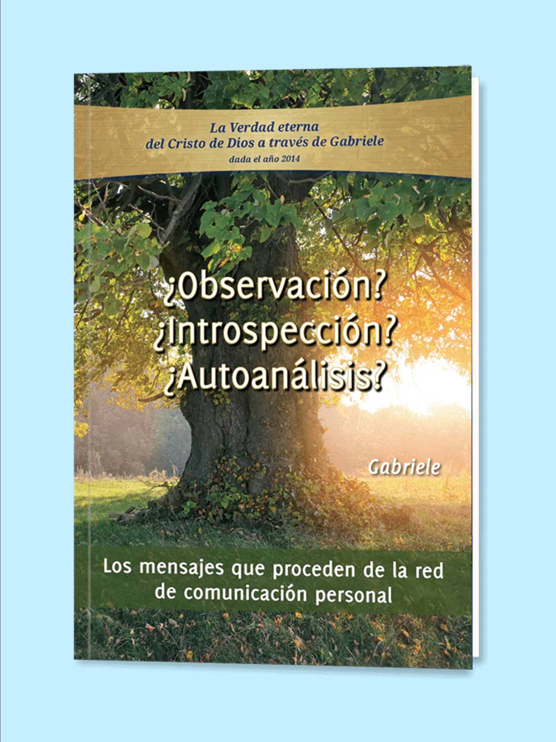 ¿Observación? ¿Introspección? ¿Autoanálisis? - Ebbok -